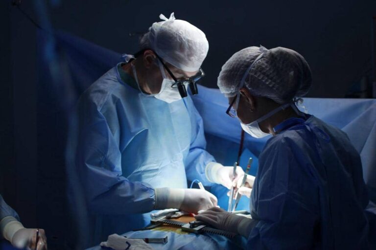 Organ babi untuk manusia, seberapa dekat menjadi terapi?